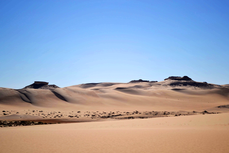 Sahara. AP
